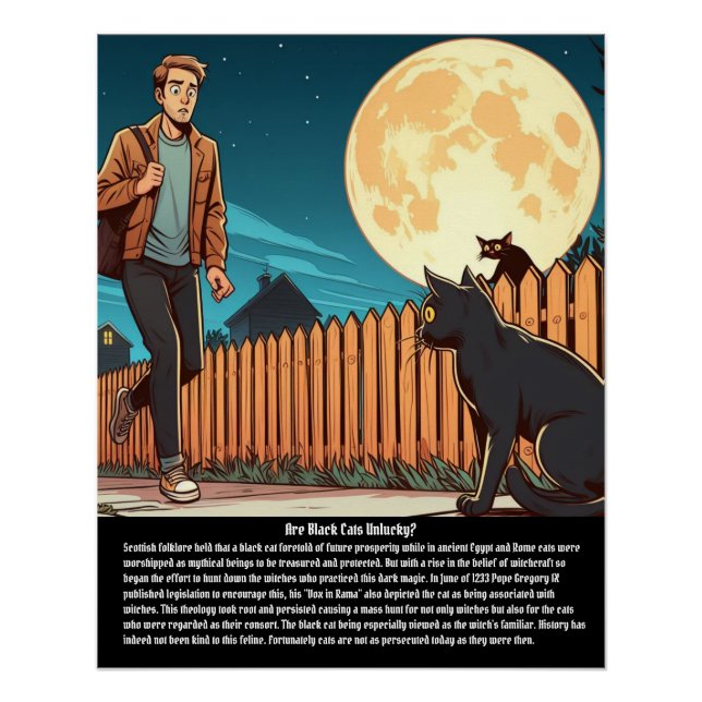 Cat Poster (Front)