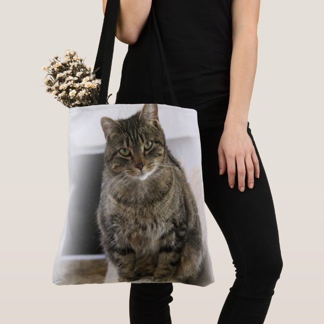 Cat Power bag (Close Up)