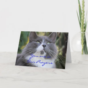 Cat Prayer card-change for any occasion Card