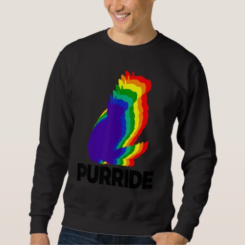 Cat Pride Purride Cat Rainbow Color Cat Kitten 3 Sweatshirt