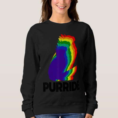 Cat Pride Purride Cat Rainbow Color Cat Kitten 3 Sweatshirt