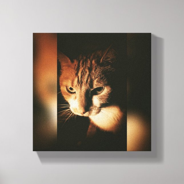 Cat Printed On Canvas (Front)