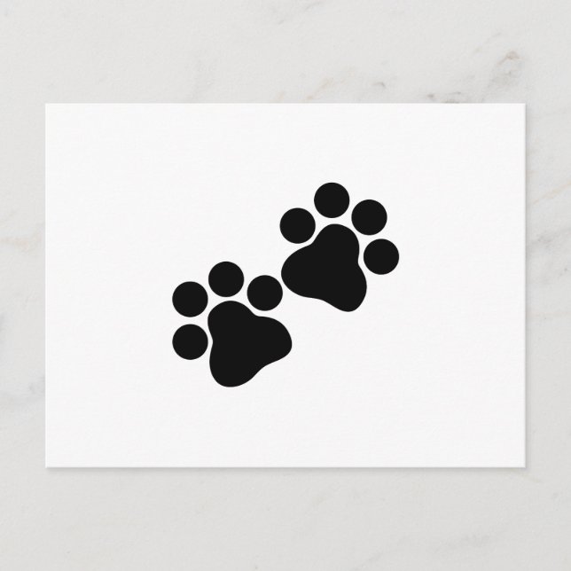 Cat Prints Postcard (Front)