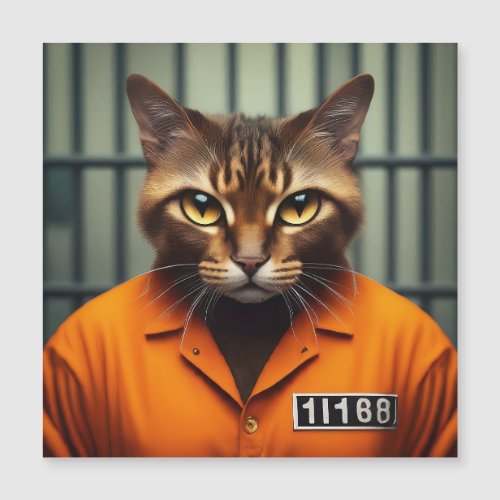 Cat Prisoner 11168 