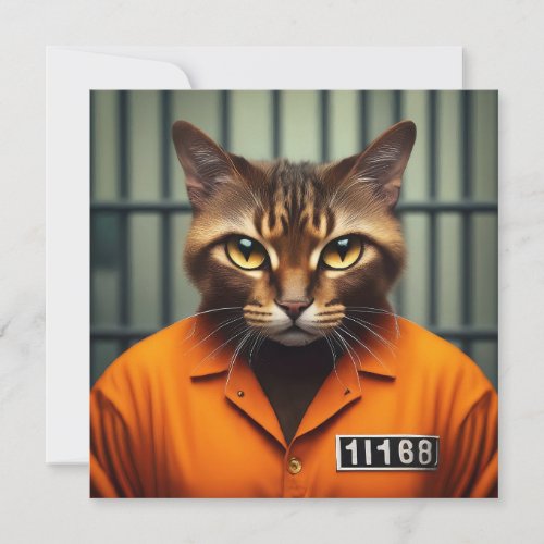 Cat Prisoner 11168 