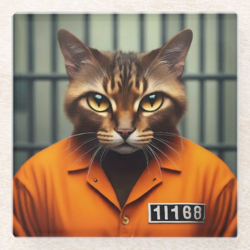 Cat Prisoner 11168  Glass Coaster