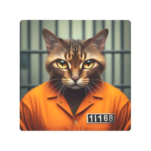 Cat Prisoner 11168  Metal Print