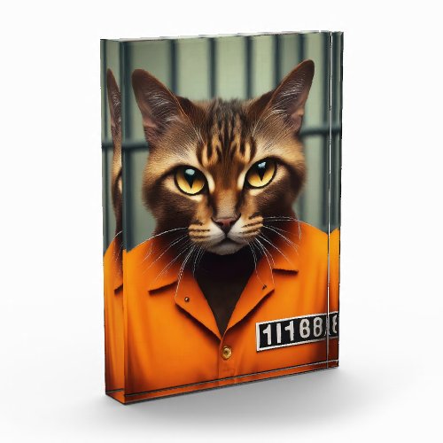 Cat Prisoner 11168  Photo Block