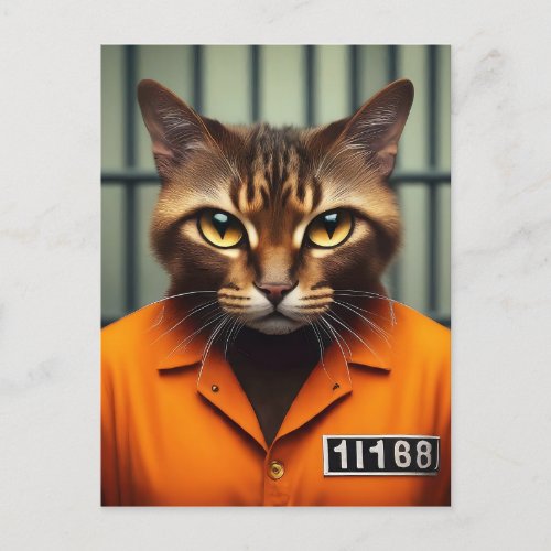 Cat Prisoner 11168  Postcard