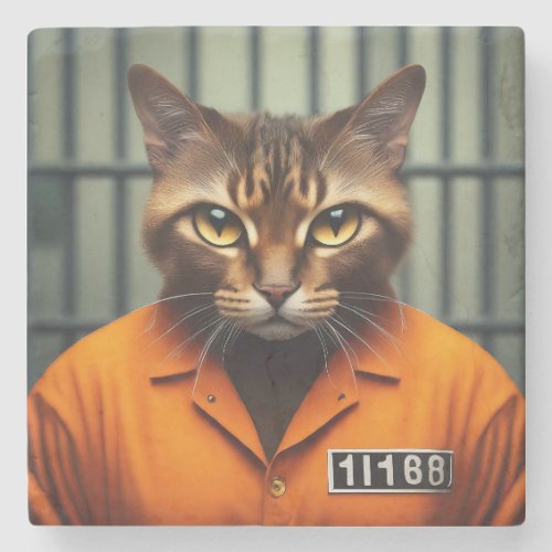 Cat Prisoner 11168  Stone Coaster