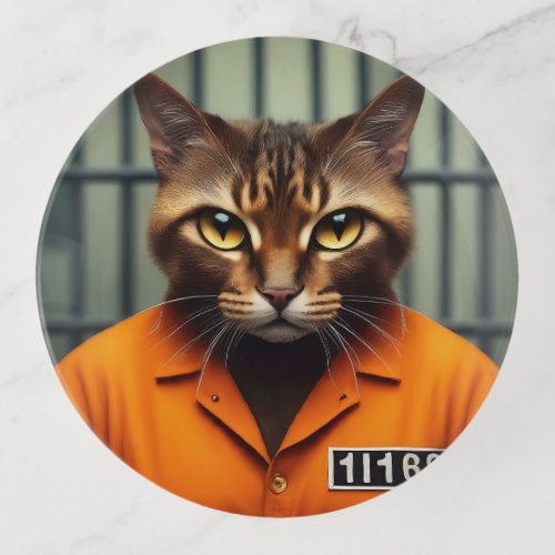 Cat Prisoner 11168  Trinket Tray