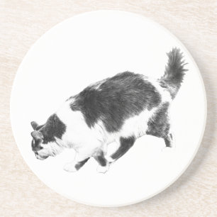 Cat Prowl in Autumn Shadows Coaster
