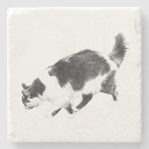 Cat Prowl in Autumn Shadows Stone Coaster