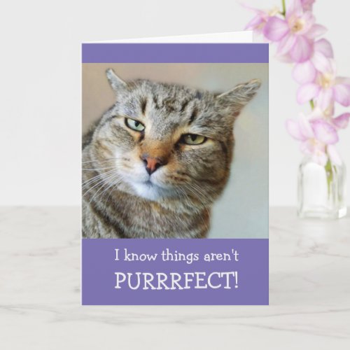 Cat Pun And Joke Get Well Card
