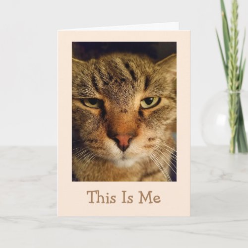 Cat Pun Get Well Card