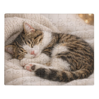 Cat puzzle