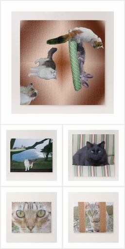 Cat Puzzles