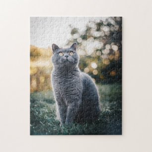 Cat Puzzles Cat Kitten Photography Animal Pic Cat