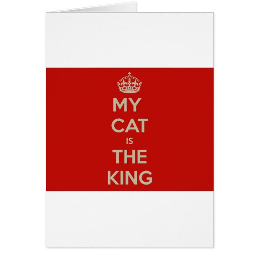 Cat Qoute Cards (Front)