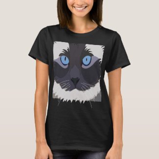 Cat Ragdoll Blue Eyes Kitty