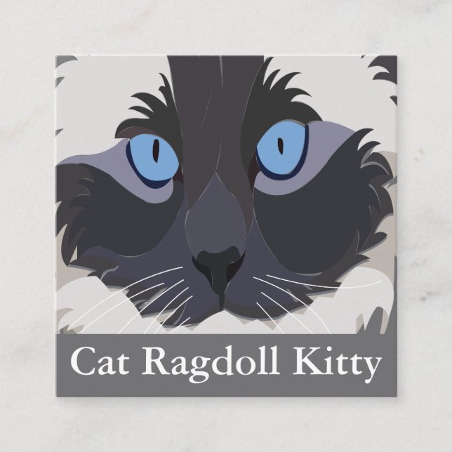Cat Ragdoll Blue Eyes  Square Business Card (Front)