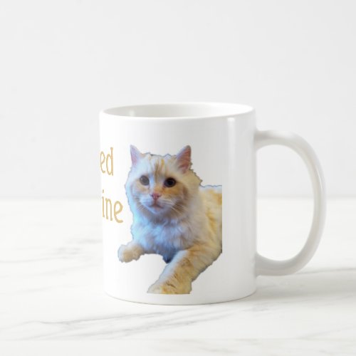 Cat Ragdoll Cats Coffee Mug