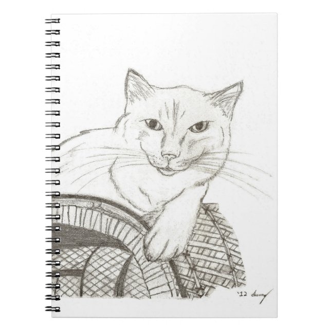 Cat Ragdoll Portrait Notebook (Front)