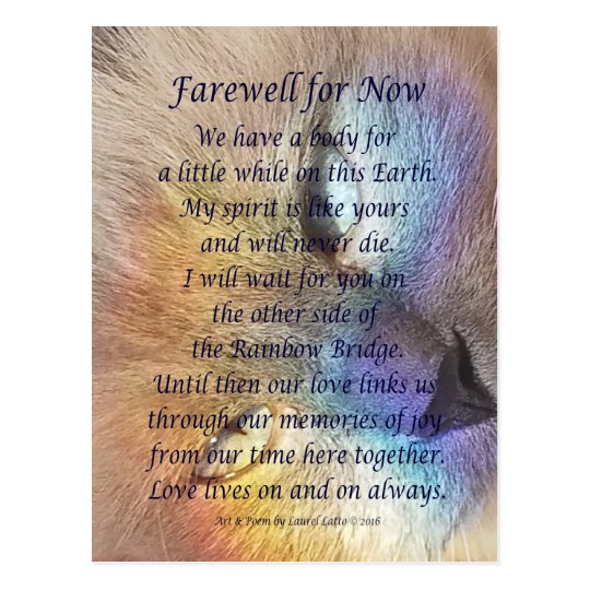 Rainbow Bridge Cat Poem Printable