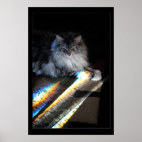 Cat Rainbow Bridge Photo Poster