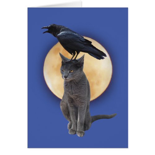 Cat Raven Moon Card