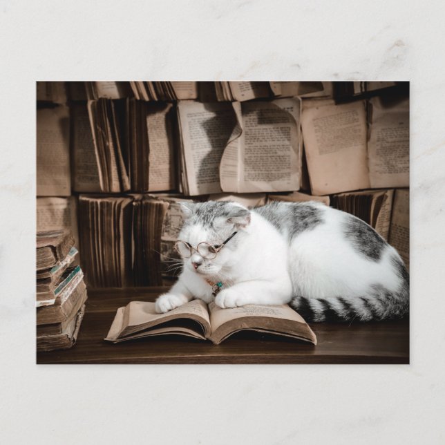 Cat Reading in Glasses Postcrossing Postcard (Front)