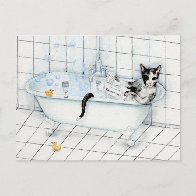 Cat reading newspaper in the bathtub postcard (Front)