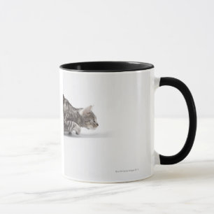 Cat ready to pounce mug