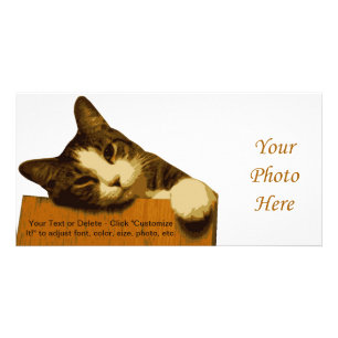 Cat Reclining Photo Cards