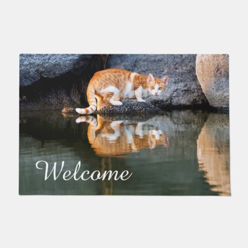 Cat Reflection in Pond Water Entry Welcome Doormat