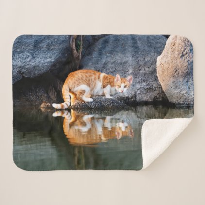 Cat Reflection in Pond Water Funny Kitten Photo .. Sherpa Blanket