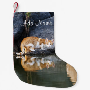 Cat Reflection in Pond Water Funny Photo - Small Christmas Stocking