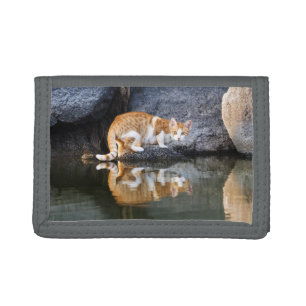 Cat Reflection in Pond Water Funny Photo - Tri-fold Wallet