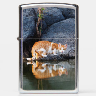 Cat Reflection in Pond Water Funny Photo - Zippo Lighter