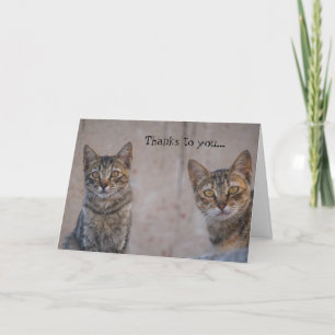 Cat Rescue Kitty Lover Thank You Card