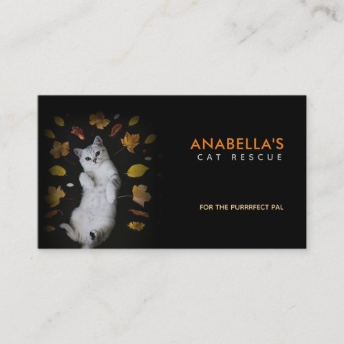 Cat Rescue Slogans Business Cards