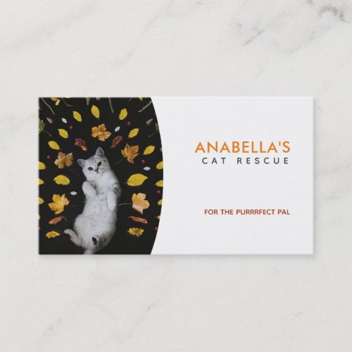 Cat Rescue Slogans Business Cards