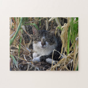 Cat Resting in Bushes Puzzle
