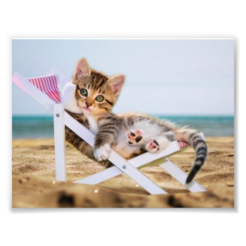 Cat resting on a sun lounger photo print