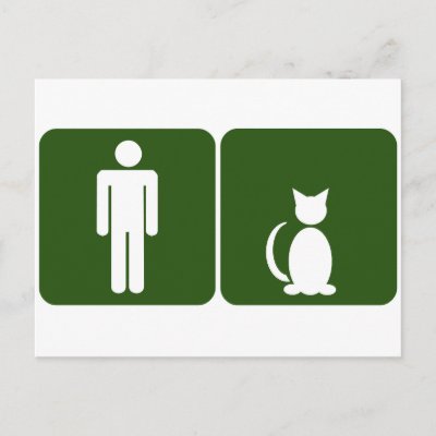 Cat Restroom Postcard