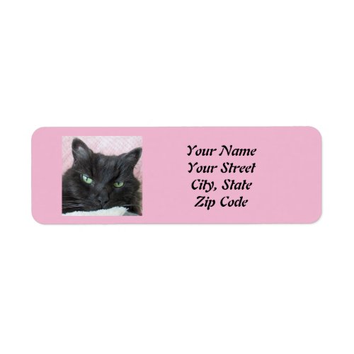 Cat Return Address Label