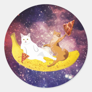 Cat riding banana in galaxy classic round sticker