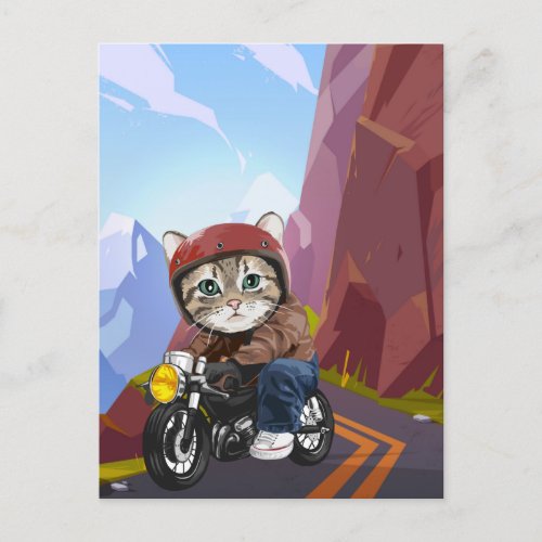 Cat Riding Motorcycle On Mountain Road  Postcard