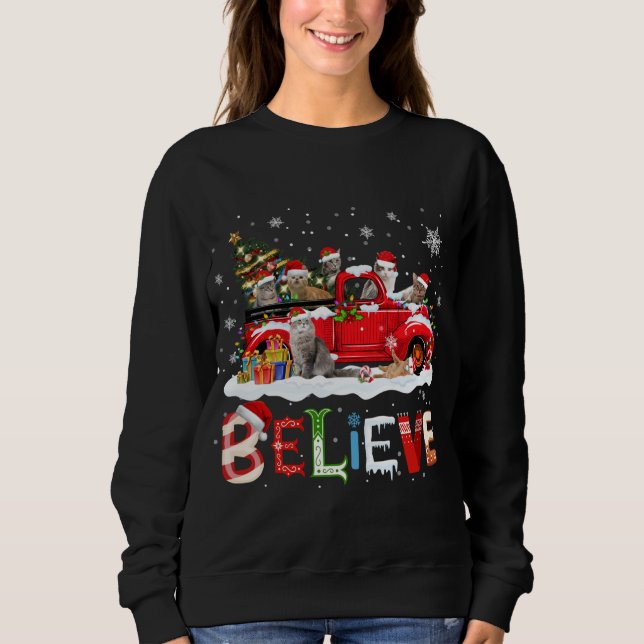 Cat Riding Red Truck Christmas Tree Believe Santa  Sweatshirt (Front)