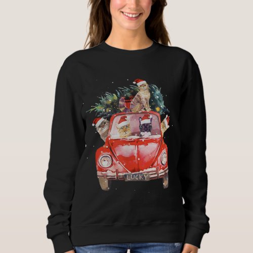Cat Riding Red Truck Christmas Tree Cat Santa Hat  Sweatshirt